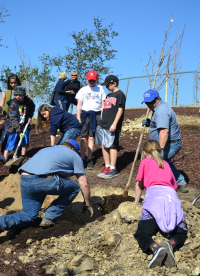 More information about "Join us for Arbor Day at Festersen Park! -- CANCELLED!"