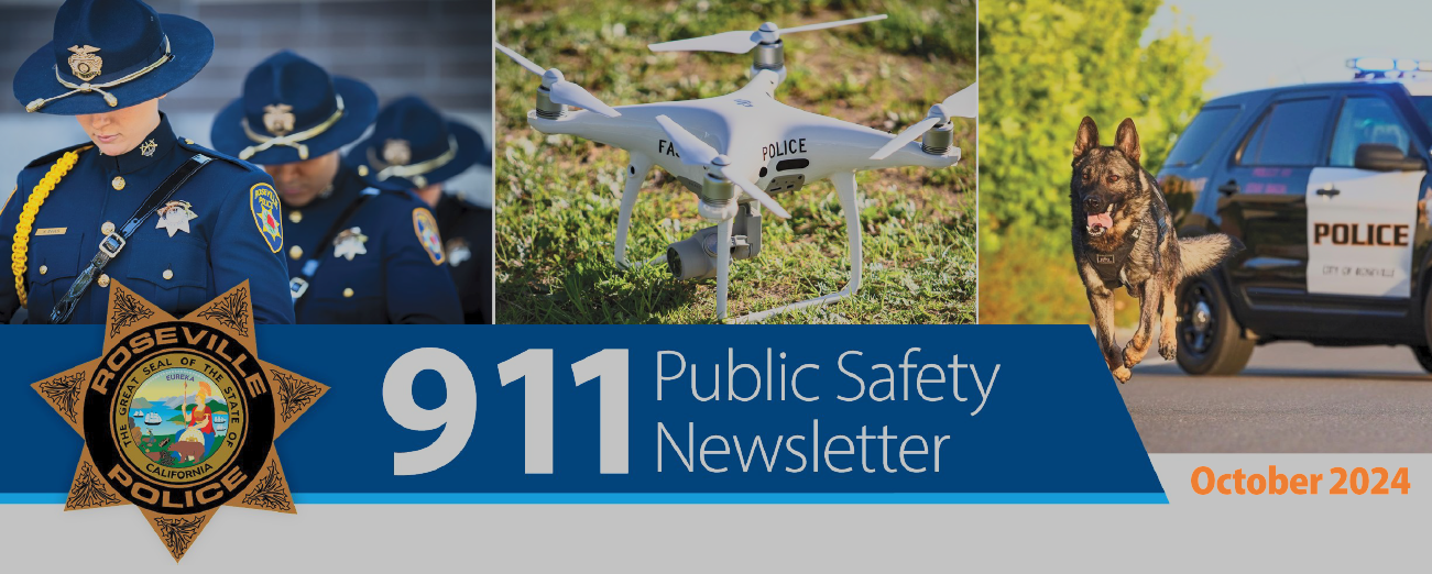 More information about "911 Newsletter 2024-10 October"