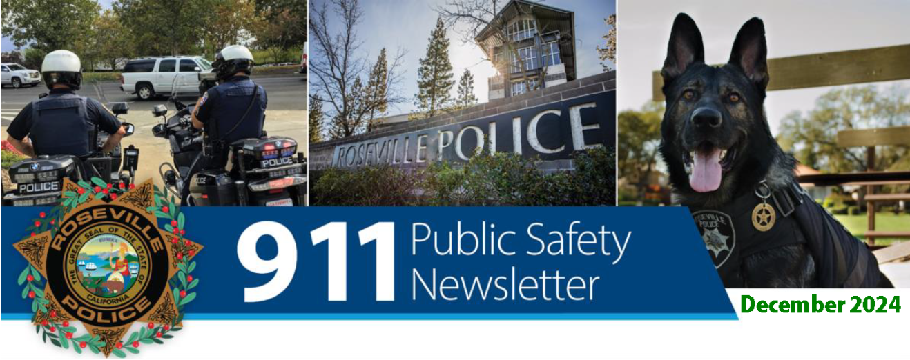 More information about "911 Public Safety Newsletter - December 2024"