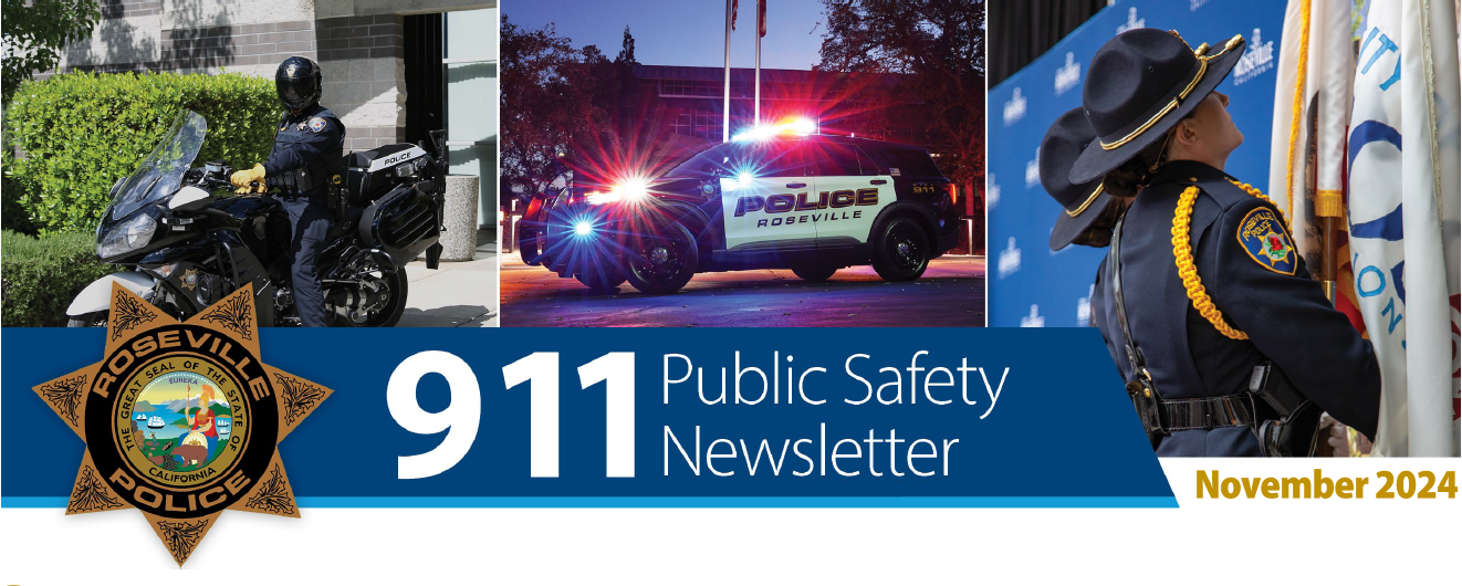 More information about "911 Newsletter 2024-11 November"