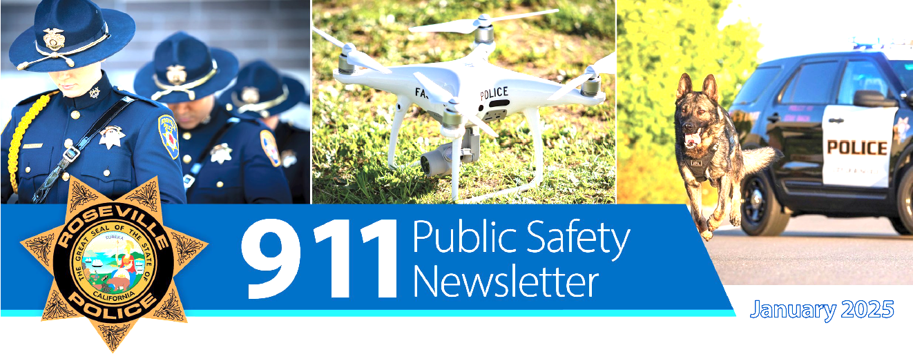 More information about "911 Public Safety Newsletter - January 2025"