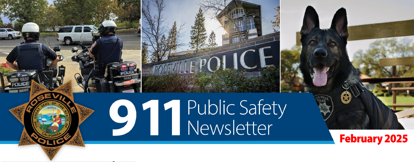 More information about "911 Public Safety Newsletter - February 2025"